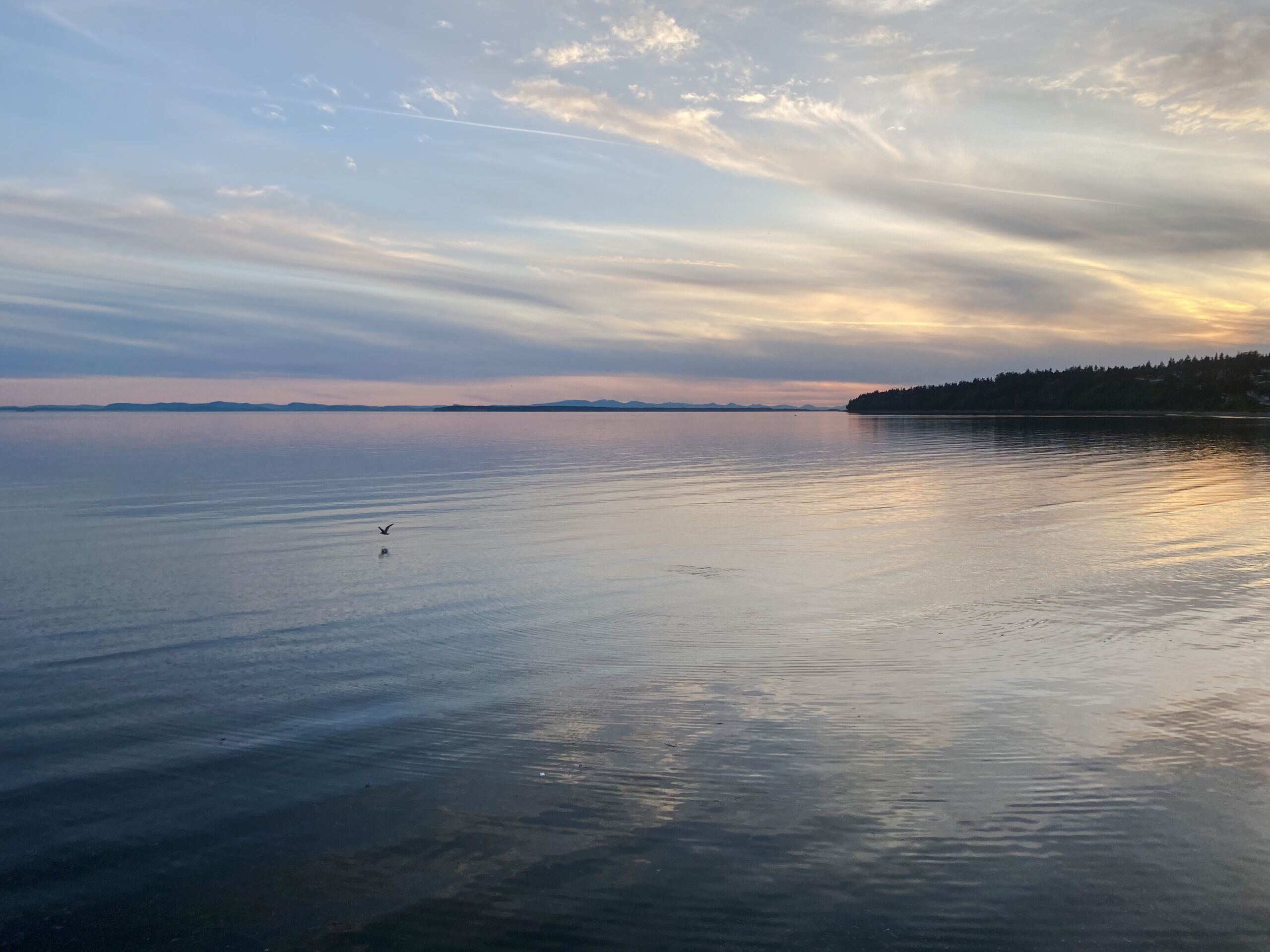 Photo Taken at White Rock, BC