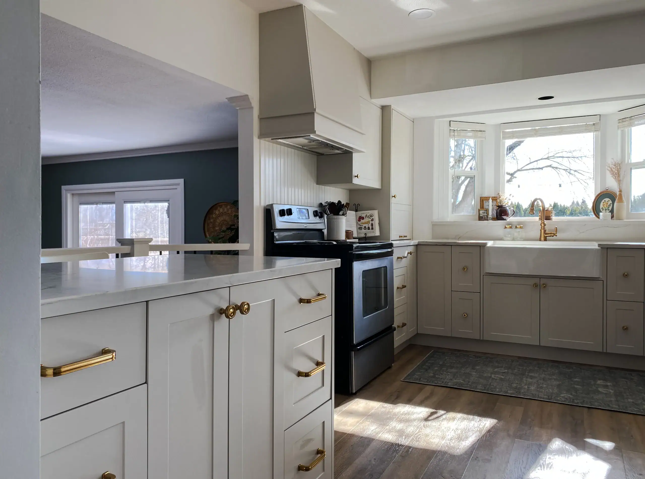 Willow Grey Shaker Cabinet & durable quartz surfaces in Aldergrove, Langley Township, BC.